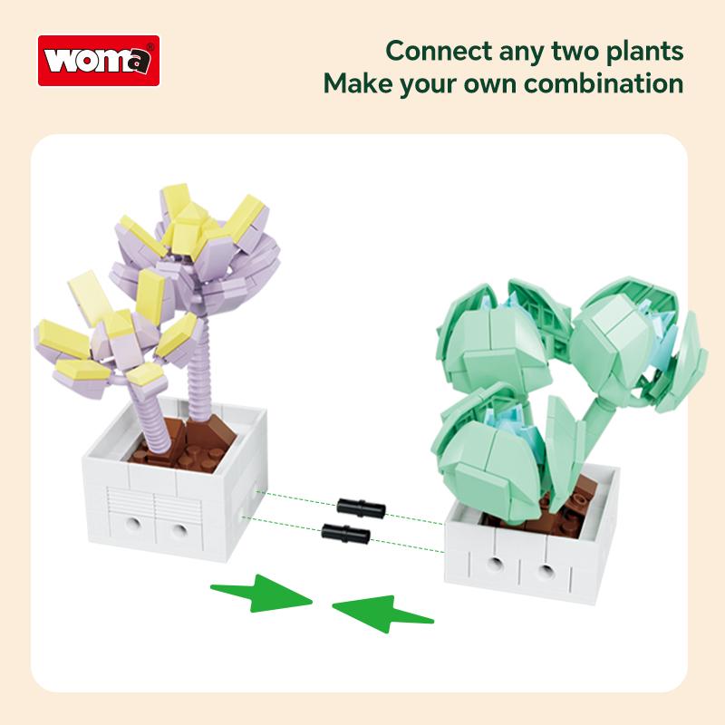 Succulent Flowers Set Building Block