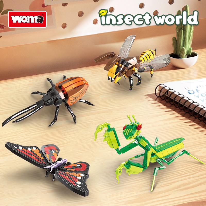 Insect Collection