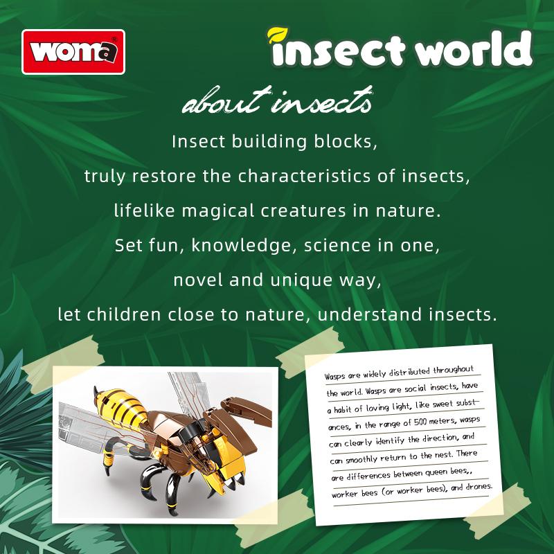 Insect Collection
