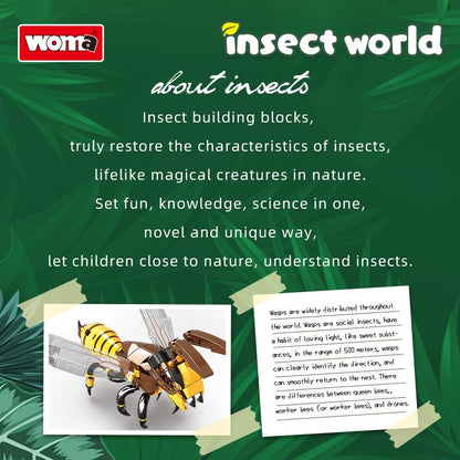 Insect Collection
