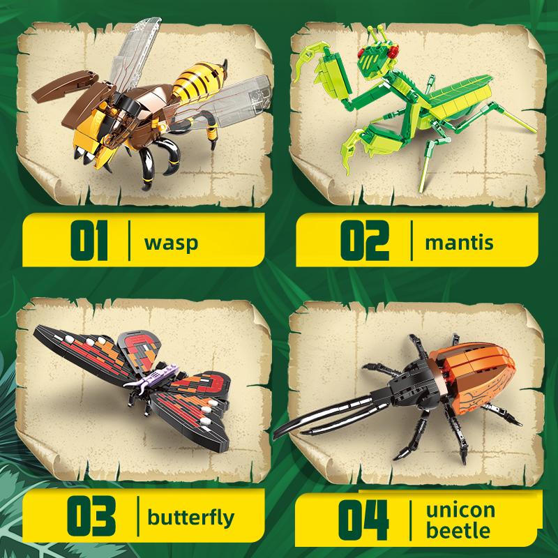 Insect Collection