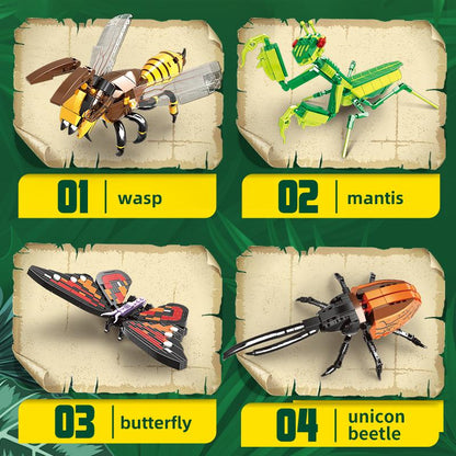 Insect Collection