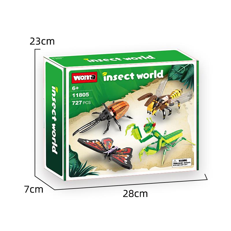 Insect Collection