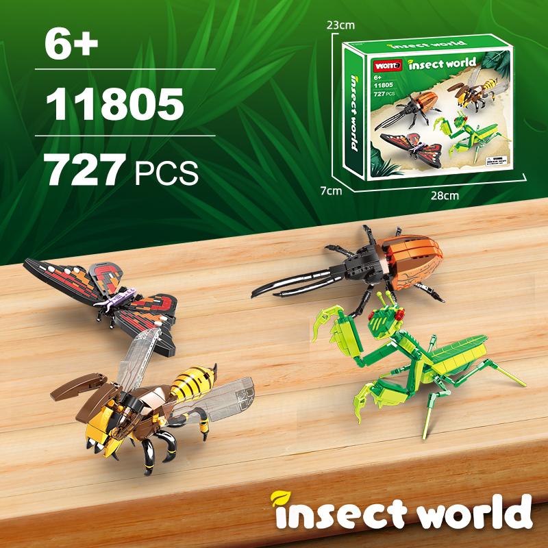 Insect Collection