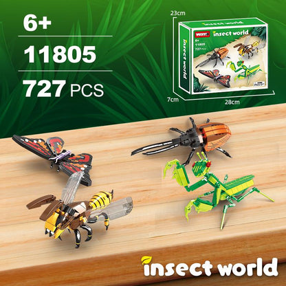 Insect Collection