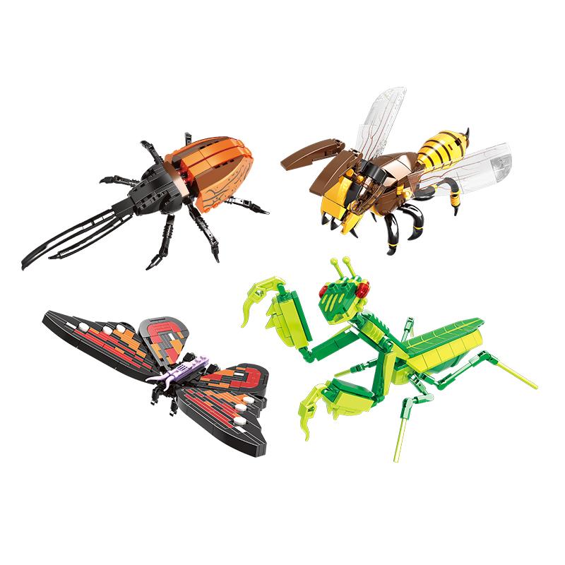 Insect Collection