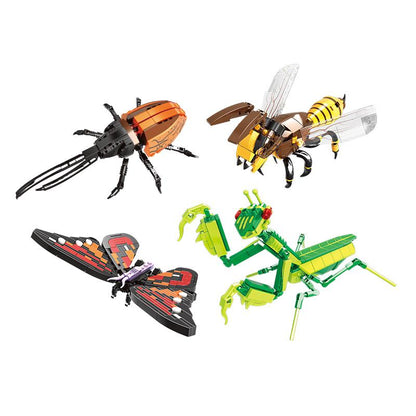 Insect Collection