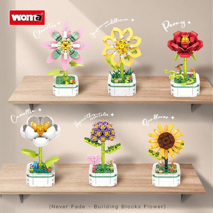 Flower Pot Collection - Clematis/Jasmine/Red Peony/Camellia/Hyacinth/Sunflower
