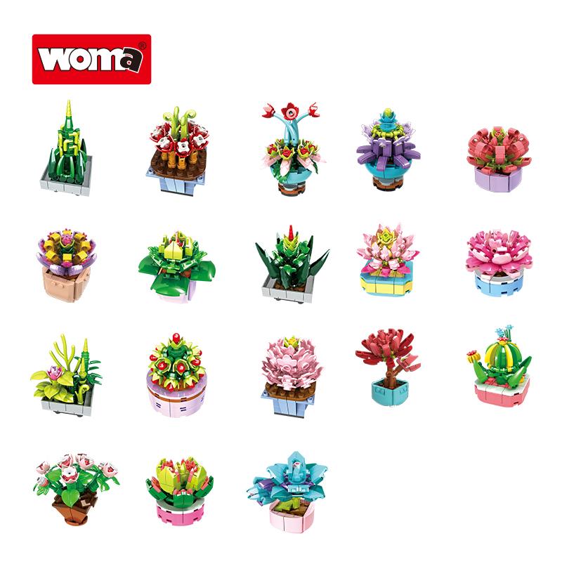 Succulent Plants (1-18 Varieties)