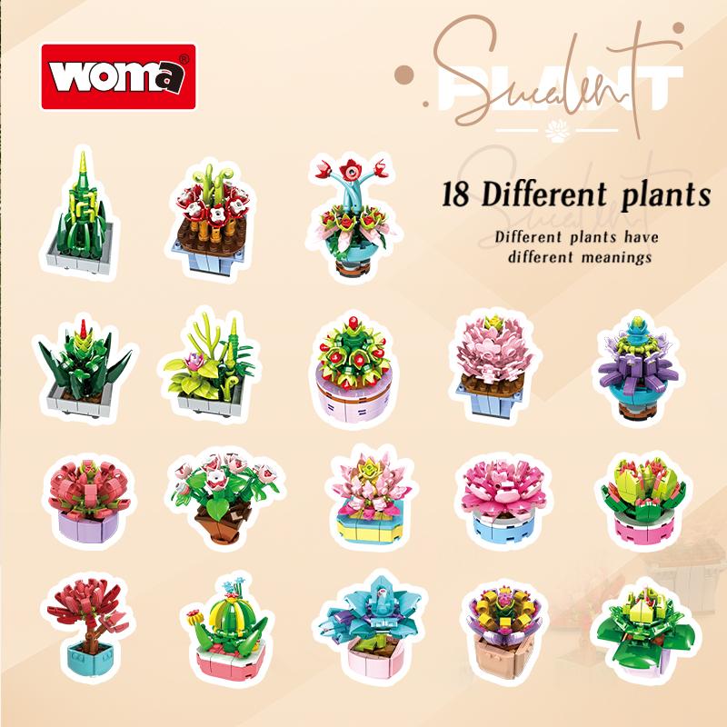 Succulent Plants (1-18 Varieties)