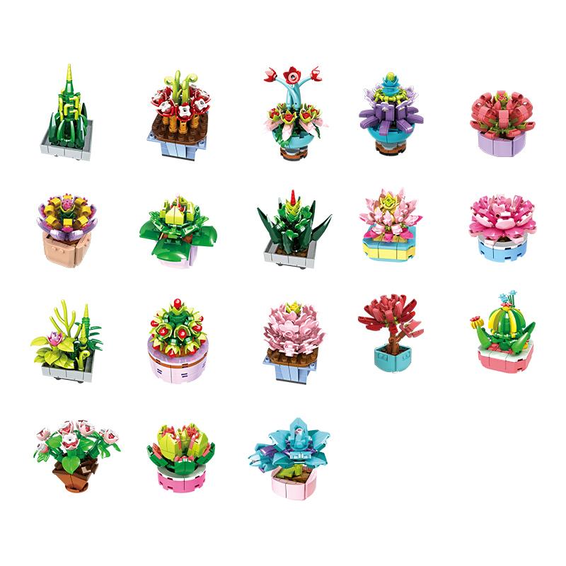 Succulent Plants (1-18 Varieties)
