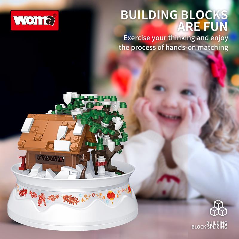 Snow House Building Set