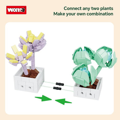 Succulent Flowers Set Building Block